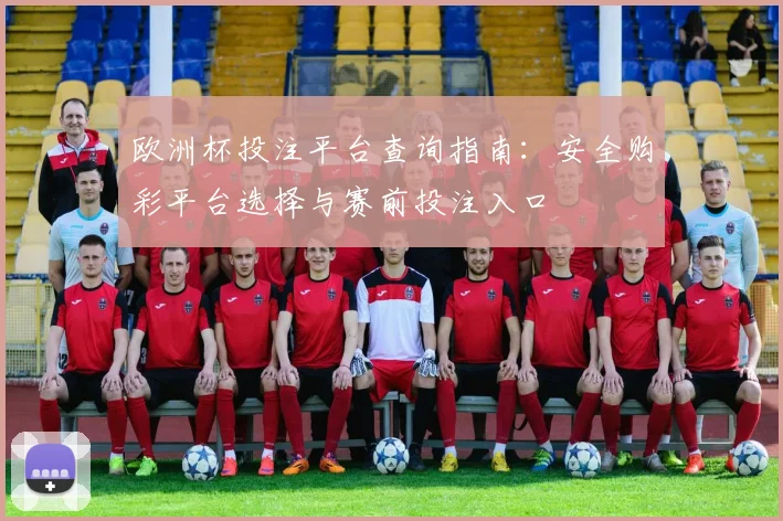 欧洲杯投注平台查询指南：安全购彩平台选择与赛前投注入口