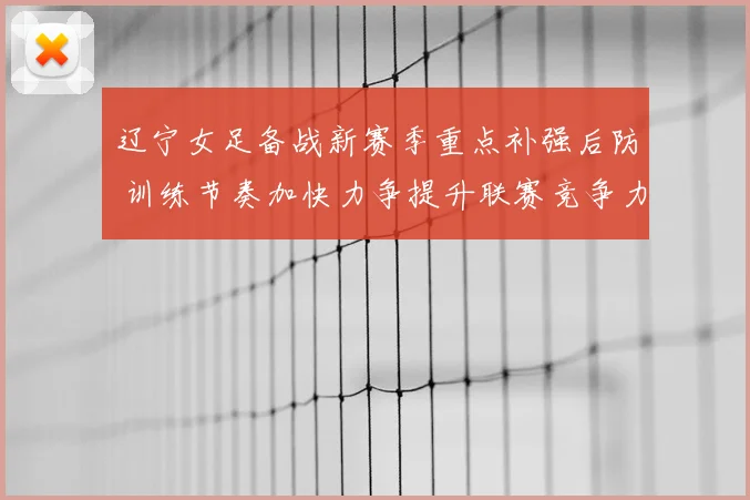 辽宁女足备战新赛季重点补强后防 训练节奏加快力争提升联赛竞争力