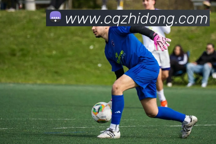 世界杯开户平台发展历程